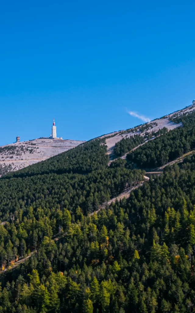 Blick Ventoux Drone