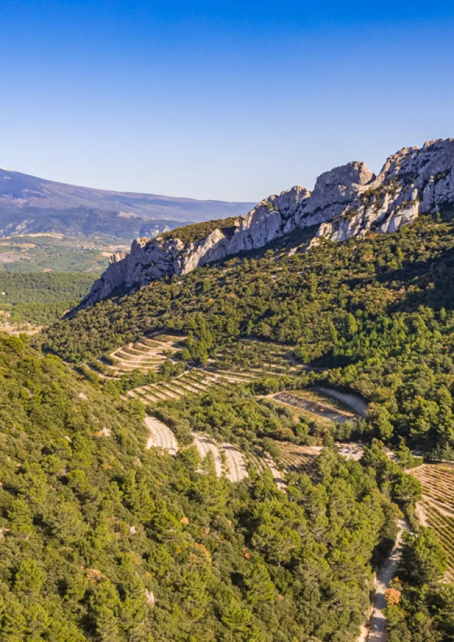 Vue Dentelles Drone