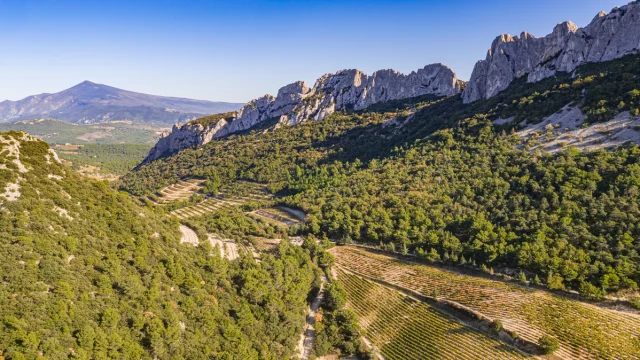 View of the Dentelles de Montmirail