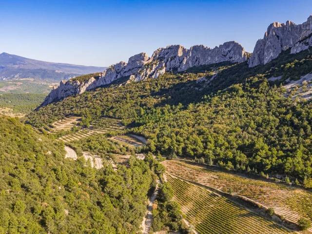 Blick auf die Dentelles de Montmirail