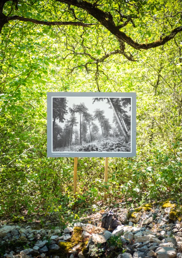 Dorian VENZI - Der einzigartige Garten - Saint-Léger-du-Ventoux