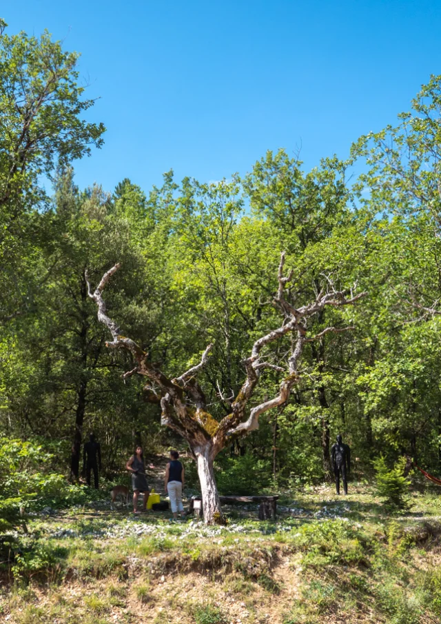 © Dorian VENZI - Le jardin singulier - Saint-Léger-du-Ventoux