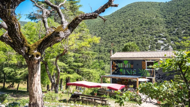 Le jardin singulier à Saint-Léger-du-Ventoux