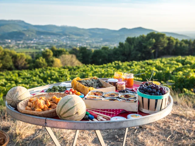 Apéro perché Youpi Tours auf dem Weingut La Fille des Vignes zum Abschied von Marine