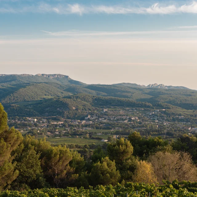Apéro perché Youpi Tours auf dem Weingut La Fille des Vignes zum Abschied von Marine