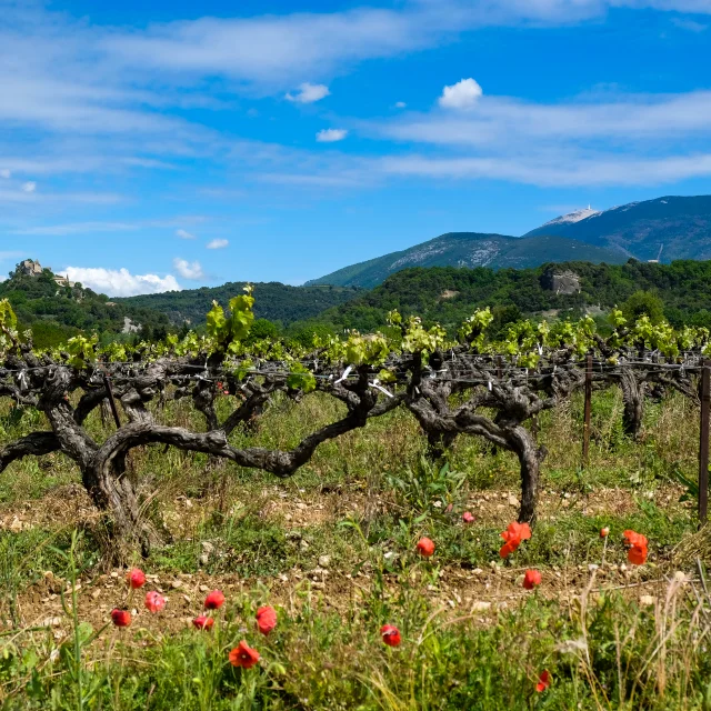 Village d'Entrechaux