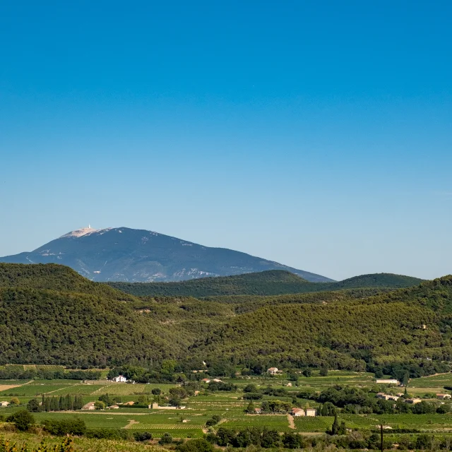 Ventoux Depuis Rasteau