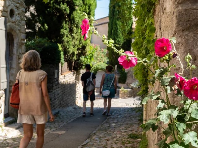 Medieval town of Vaison-la-Romaine