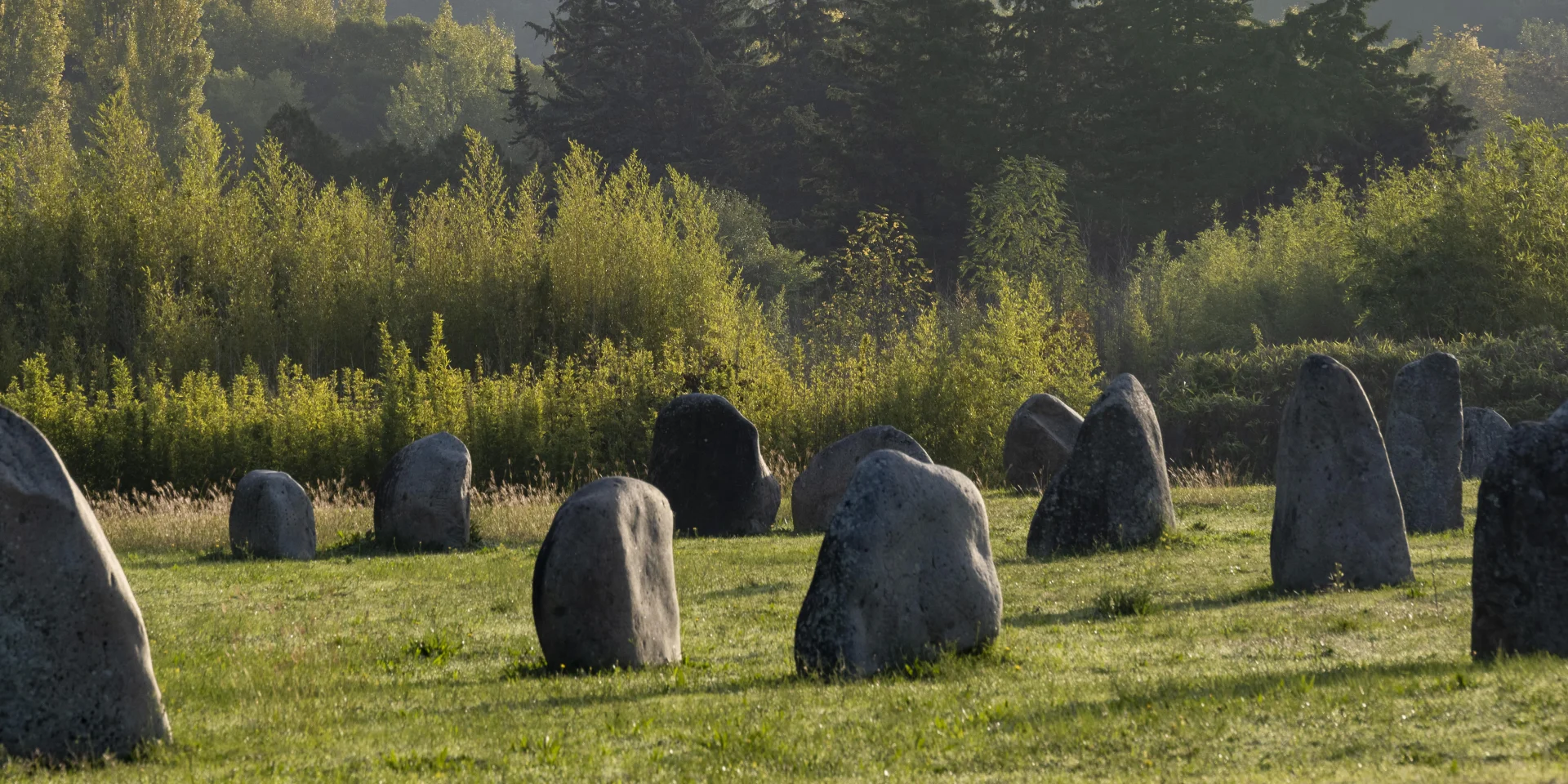 Der Garten der 9 Damoiselles