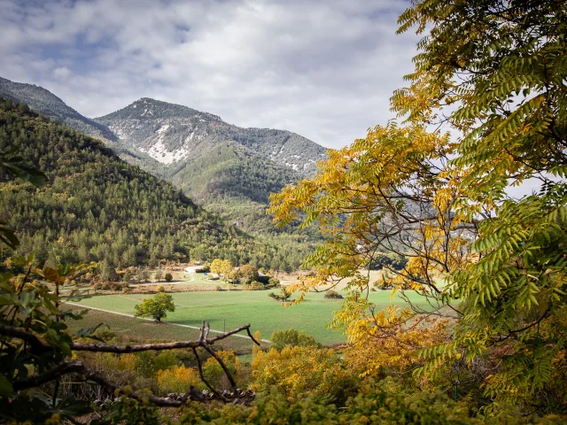 Blick auf das Dorf Saint-Léger-du-Ventoux