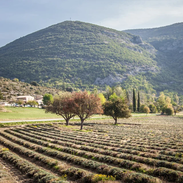 Dorf St. Leger im Herbst