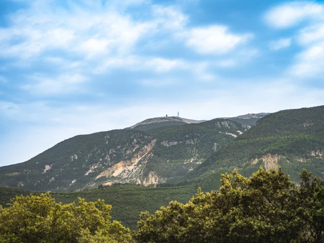 View of the northern slopes of Mont Ventoux