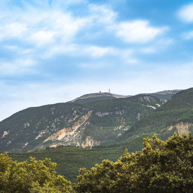 View of the northern slopes of Mont Ventoux