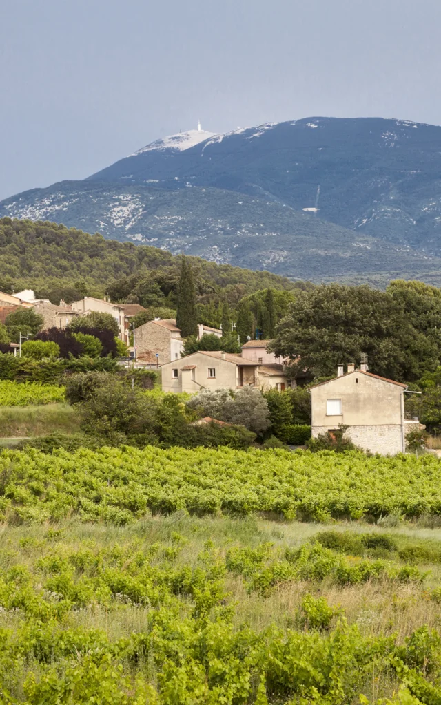 Frühlingshafte Nuancen mit singenden Grüntönen am Fuß des Riesen.