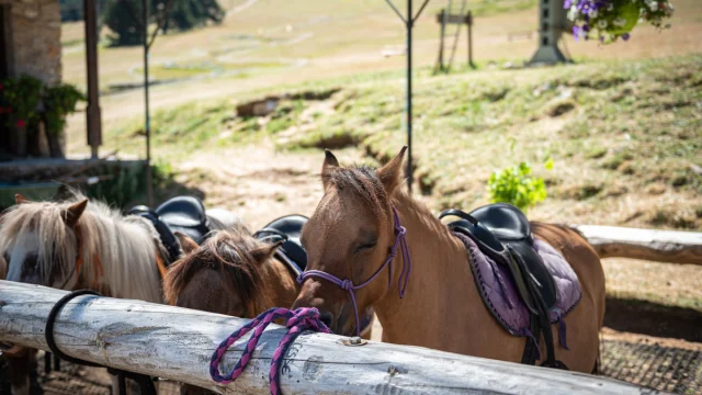 Mont Serein sation activities on 2020-07-24. Dorian Venzi