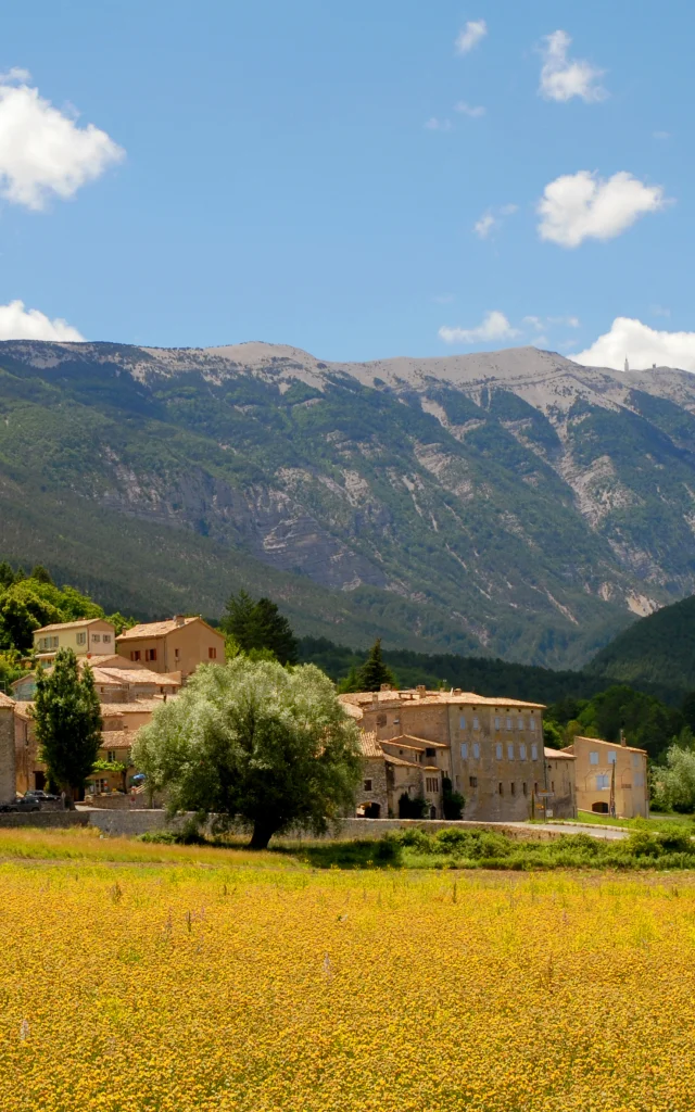 Dorf Savoillans mit dem Mont-Ventoux im Hintergrund