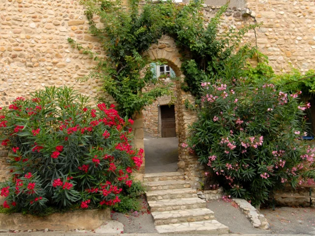 Village of Villedieu