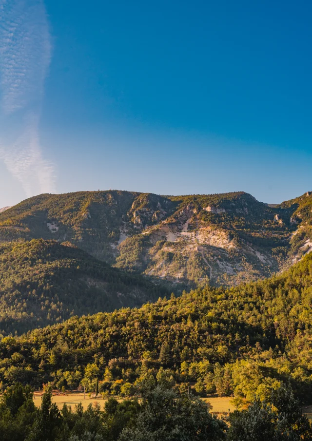 The Toulourenc valley at Aube