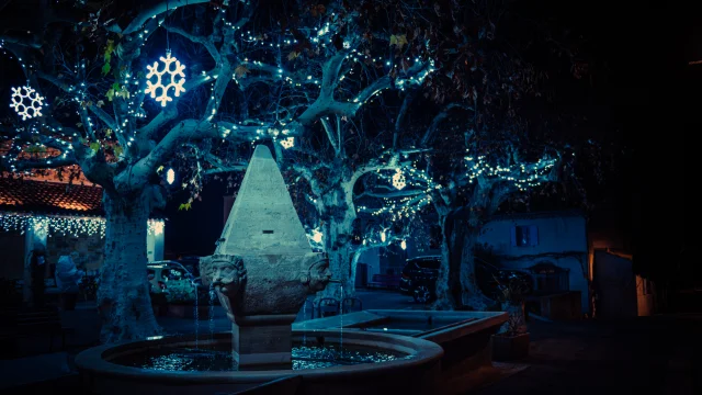 Weihnachten in Vaison Ventoux Provence - Buisson