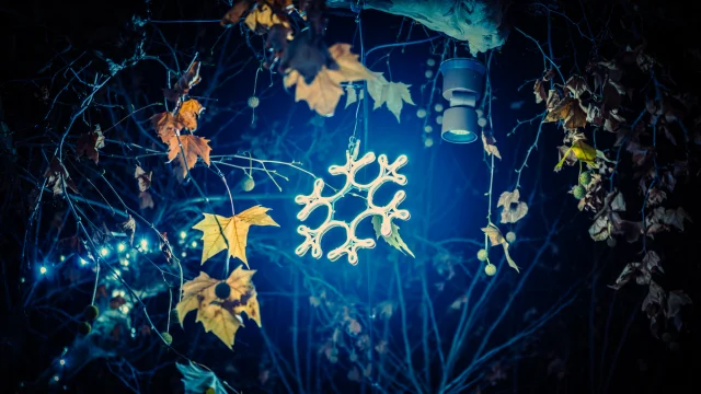 Christmas in Vaison Ventoux Provence - Buisson