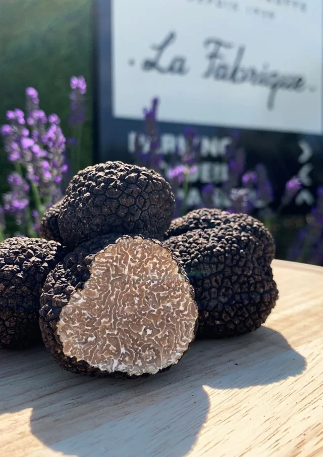 Truffle Copyright Plantin Truffes