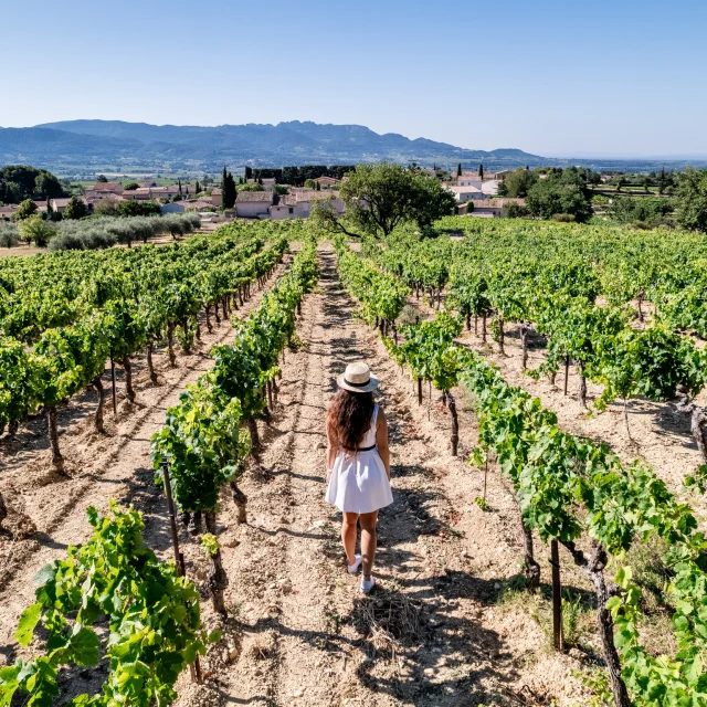 Au Coeur Des Vignes Aoc Rasteau Face Aux Dentelles De Montmirail