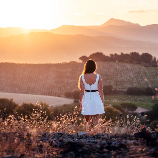 Sunset Vignoble Aoc Rasteau